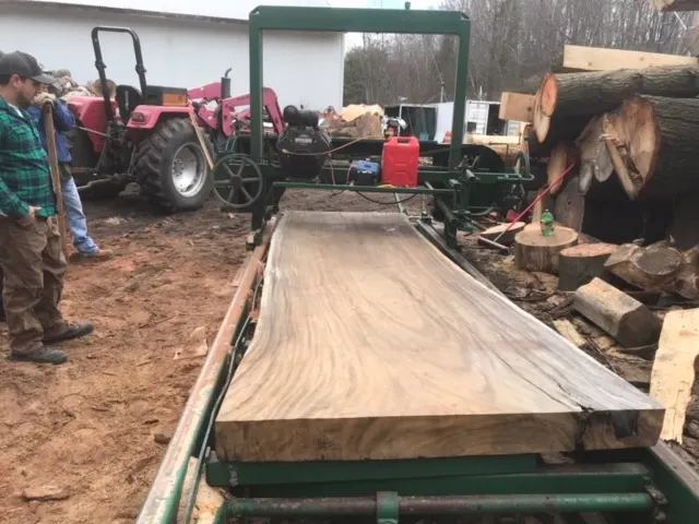 Walnut Slab
