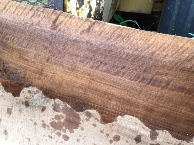 Highly Figured Black Walnut