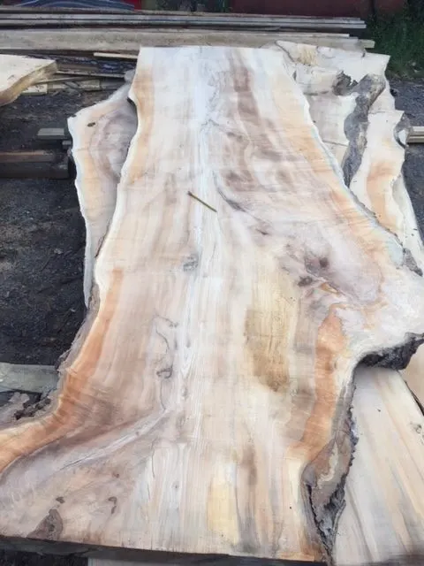 Historic Maple — Warwick CC
