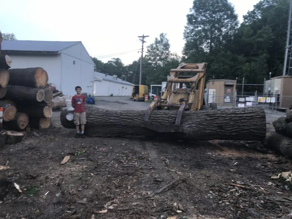 40″ × 20′ Walnut
