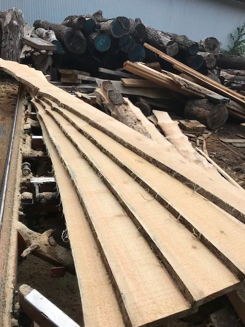 Live-Edge Window Trim